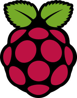 250px-raspberry_pi_logo.svg.png