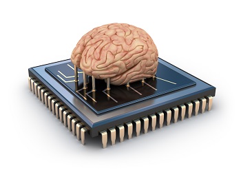 brain on a chip.jpg brain on a chip.jpg