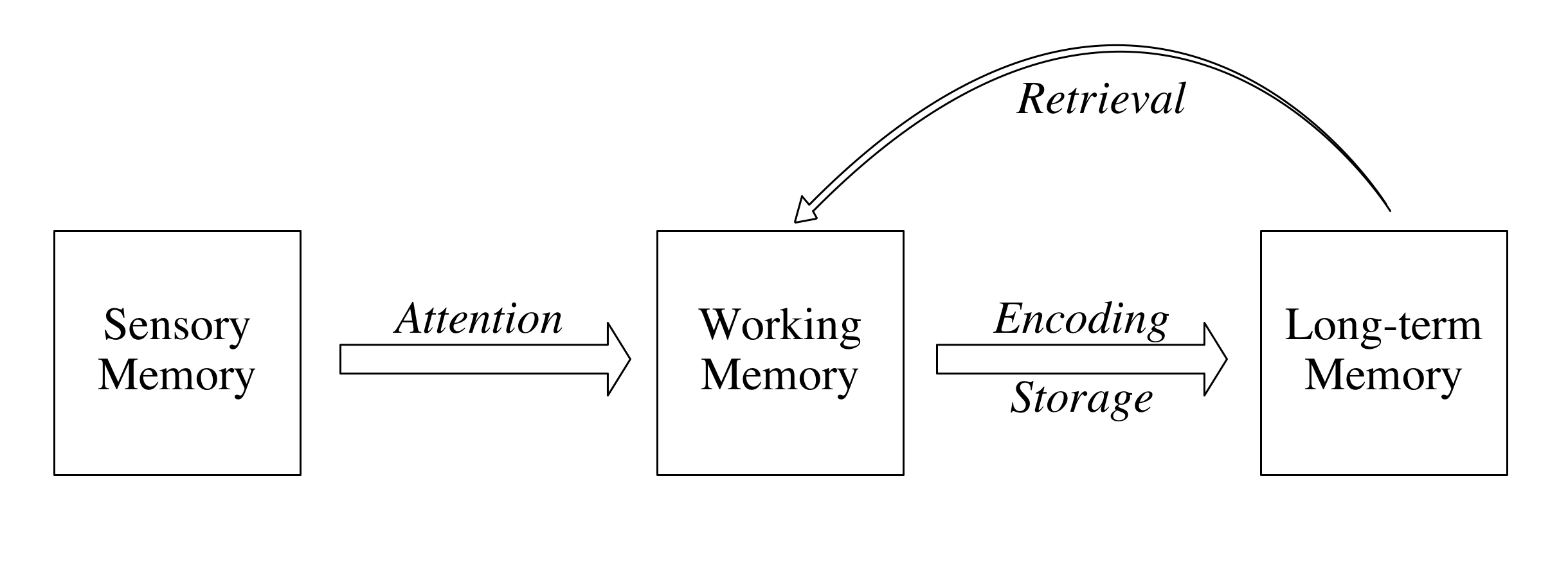 info_processing.png info_processing.png